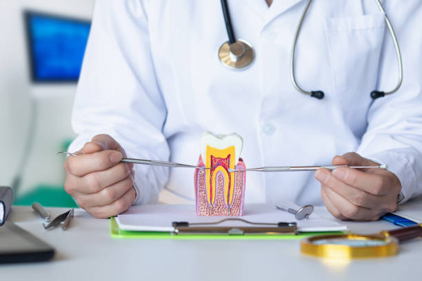 Best Orthodontic Emergency Dentist in Newport, SC